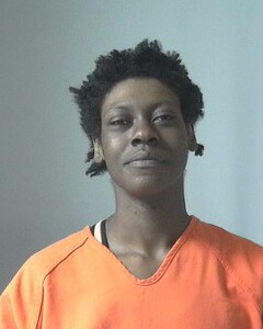 Mugshot of TINKER, SHANIKA  